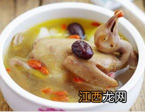 鸽子和什么一起炖营养最好 补气血煮母鸡鸽子配料