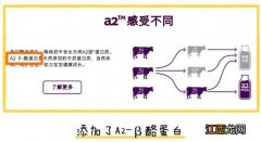 爱他美和a2至初奶粉哪个好