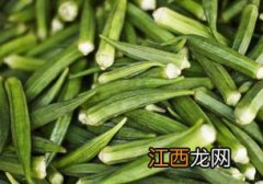 辣椒有什么营养价值和药用价值 辣椒的作用和功效与作用及禁忌