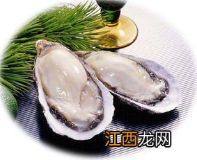 海蛎干和新鲜海蛎子的营养价值 海蛎肉的营养价值及功效与作用