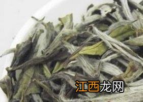 福建大白茶与福鼎白茶的功效 福鼎大白茶的功效与作用