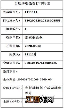 泰安灵活就业人员社保医保自助缴费办理流程