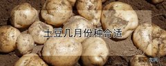 土豆几月份种合适