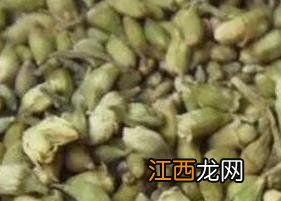 槐米茶的功效与作用的功能与主治 槐米茶的功效与作用