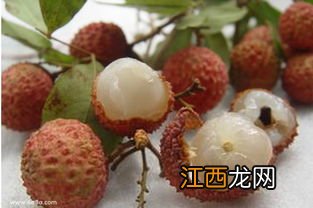 新鲜莲子吃生的好还是煮熟吃好 新鲜莲子和干莲子有什么区别?