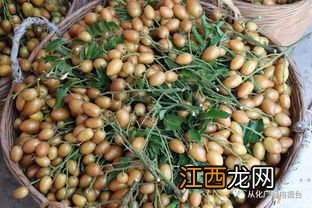 柿子都有哪些种类?那些颜色? 柿子的颜色是什么颜色aabb