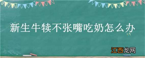 新生犊牛不吃奶咋办 新生牛犊不张嘴吃奶怎么办