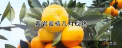 黄岩蜜桔几月成熟