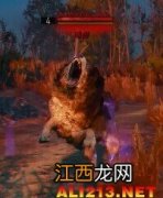 《巫师3：狂猎》怪物图鉴一览攻略 巫师3 怪物图鉴