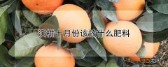 沃柑十月份该放什么肥料