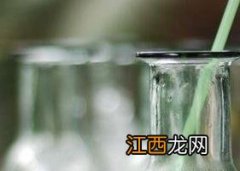 青梅绿茶的功效与作用及食用方法 青梅绿茶的功效与作用