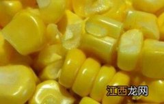 玉米芽的营养价值与功效与作用 玉米芽的营养价值与功效