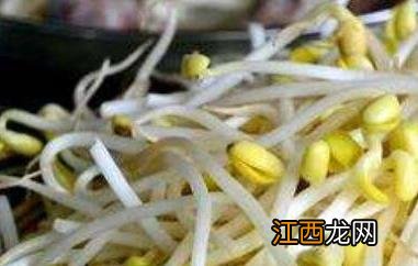 怎样生黄豆芽 怎样生黄豆芽视频