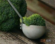 十大提高免疫力食物 不用吃营养补充品也可以增强抵抗力