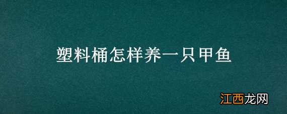 塑料桶怎样养一只甲鱼 塑料桶怎样养一只甲鱼视频