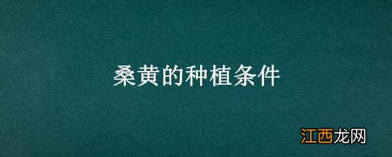 桑黄的种植条件 桑黄的种植条件和管理