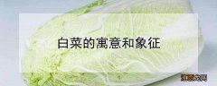 白菜的寓意和象征