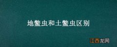 地鳖虫和土鳖虫区别 土元和土鳖虫一样吗