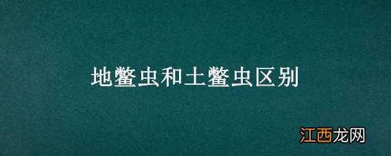 地鳖虫和土鳖虫区别 土元和土鳖虫一样吗