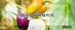 南方甜椒种植时间