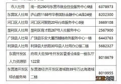 东营以工代训补贴政策咨询电话 东营以工代训补贴政策咨询电话号码