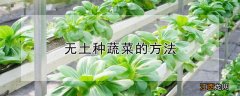 无土种蔬菜的方法