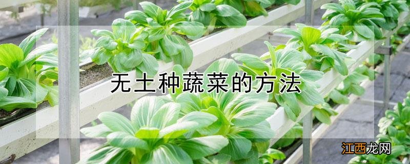 无土种蔬菜的方法