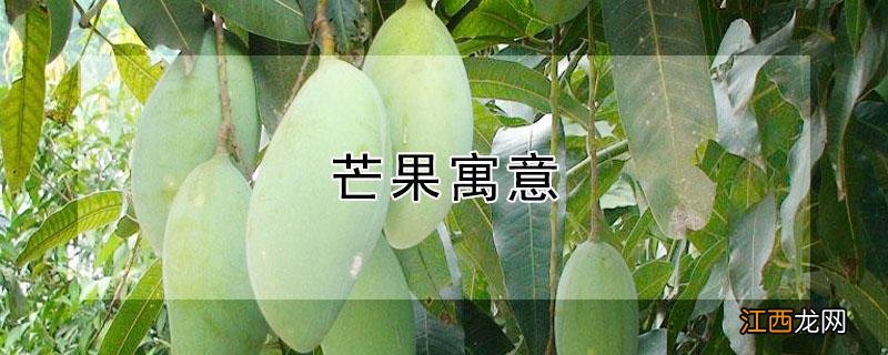 芒果寓意