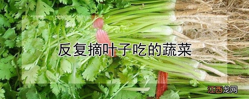 反复摘叶子吃的蔬菜