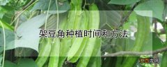 架豆角种植时间和方法