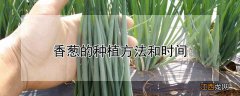 香葱的种植方法和时间