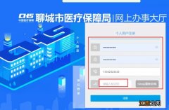 聊城医保局官网查询系统 聊城医保新版网上办事大厅登录方式