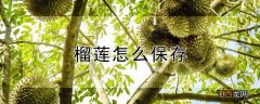 榴莲怎么保存