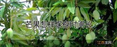 芒果怎样保存时间长