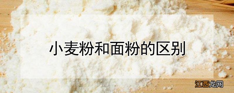 小麦粉和面粉的区别