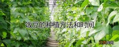 饭豆的种植方法和时间