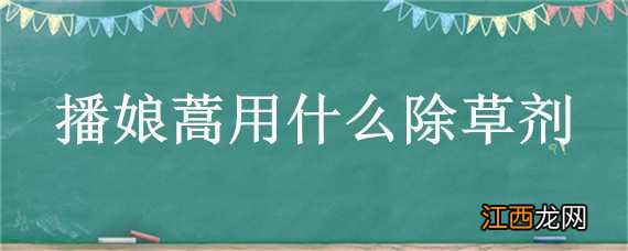 播娘蒿用什么除草剂 播娘蒿用什么除草剂效果好