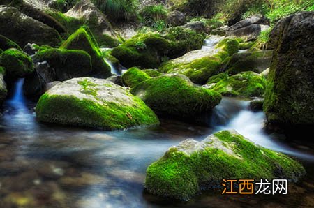 自制健康小零食—双色荔枝果冻儿童