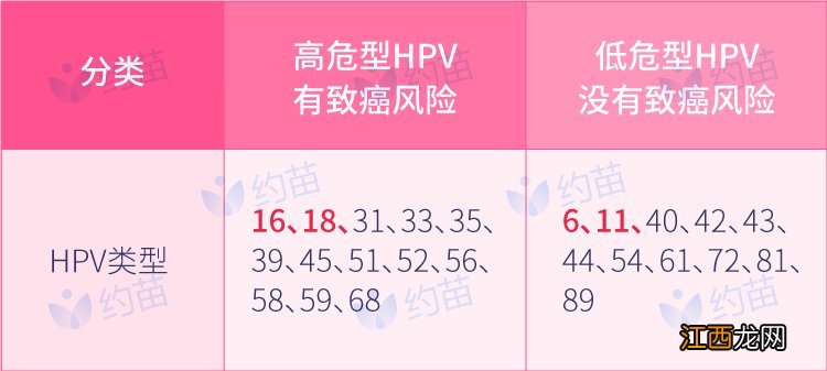 什么是hpv疫苗 什么是HPV疫苗?