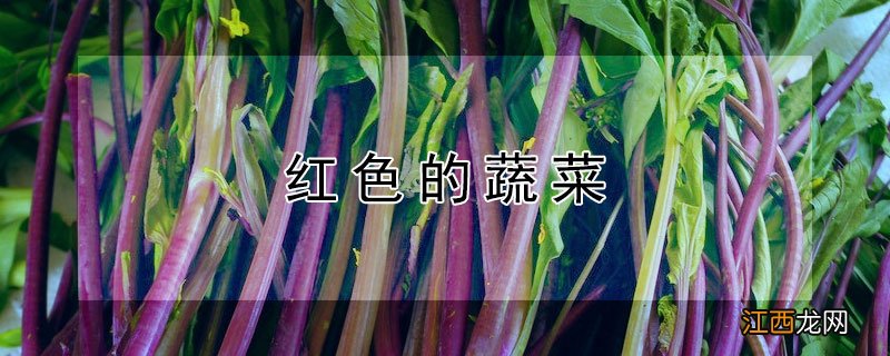 红色的蔬菜