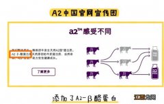 美赞臣蓝臻和a2至初哪个更好吸收