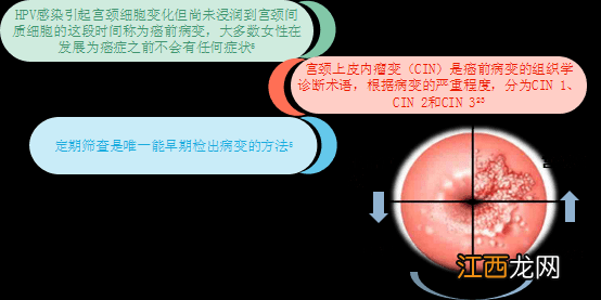 四价疫苗三针一共多少钱 四价疫苗三针间隔时间多久