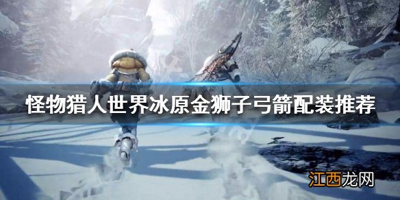怪物猎人冰原弓箭珠子搭配 怪物猎人世界冰原金狮子弓箭怎么配