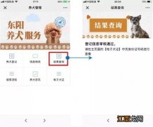 金华市犬类管理办法 金华市养犬登记网上办理指南