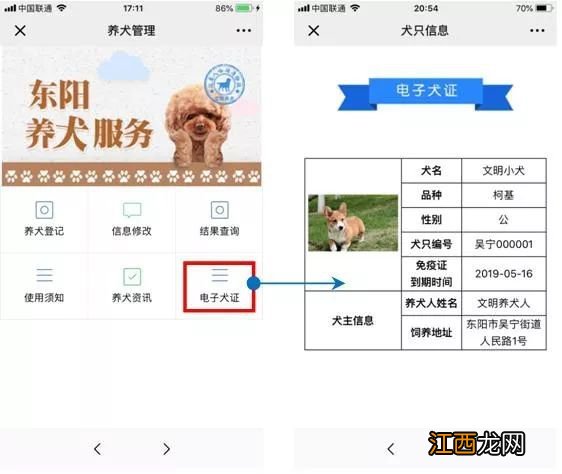 金华市犬类管理办法 金华市养犬登记网上办理指南