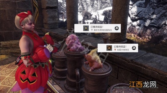 怪物猎人世界冰原稀有环境生物奖杯怎么完成 稀有环境生物_网