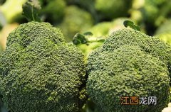 雅培菁挚呵护系列奶粉价位