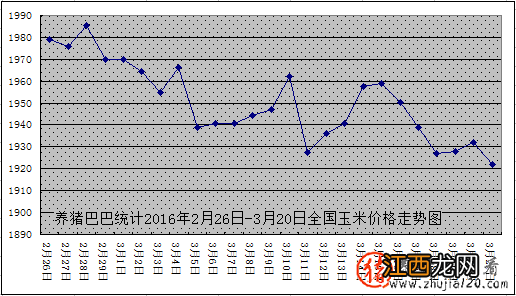 猪价周后期涨势猛烈 预计后期局部仍有上涨可能