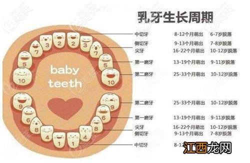 宝妈建议收藏 儿童换牙齿的年龄和顺序图解