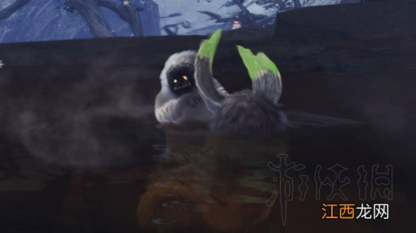 怪物猎人冰原 拍照任务 怪物猎人世界冰原拍照任务怎么做